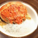 セルサルサーレ