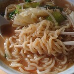 Shibaryuu - 味噌ラーメン600円　麺アップ