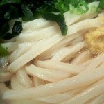 竹清 - うどんのアップ　あまりツヤがない