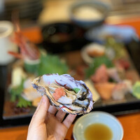 魚竹 - 