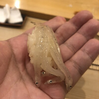 鮨 しゅん輔 阿佐ヶ谷 - 白魚。軽く昆布で〆ています。内臓の苦味と背骨のシャリシャリ感が堪りません