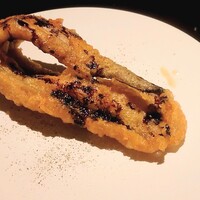Potoro - 
