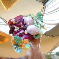 SALONE TOKYO - 