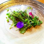 カーサレストラン - 