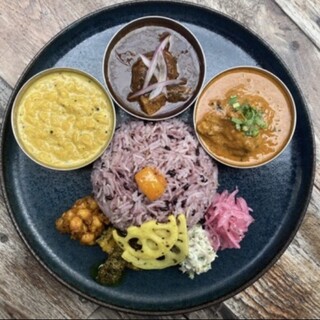 Curry Spice Gelateria KALPASI_1