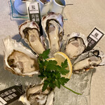 NERIMA OYSTER BAR - 生牡蠣