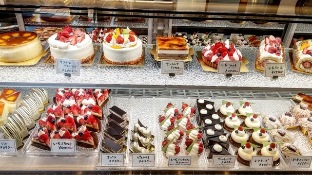 手作りケーキの店 エーデルマン 草津 ケーキ 食べログ 手作りケーキの店 エーデルマン 草津 ケーキ 食べログ