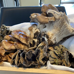 プレゼンテ スギ - 