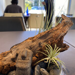 プレゼンテ スギ - 