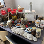 プレゼンテ スギ - 