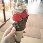 ニガクナイコウチャ - 