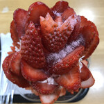 産直 来夢くん - 