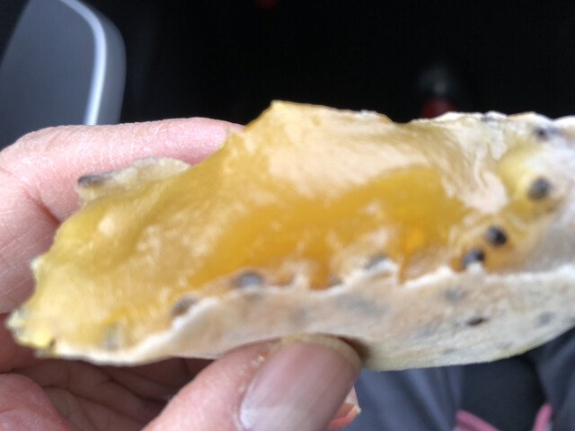 あじまんヤマザワ 米沢中田店 置賜 たい焼き 大判焼き 食べログ あじまんヤマザワ 米沢中田店 置賜 たい焼き 大判焼き 食べログ