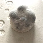 まるに抱き柏 - 