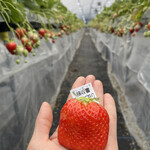 姫路ハートフル観光農園 - 