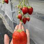 姫路ハートフル観光農園 - 