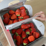 姫路ハートフル観光農園 - 