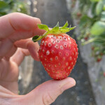 姫路ハートフル観光農園 - 