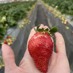 姫路ハートフル観光農園 - 