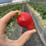 姫路ハートフル観光農園 - 