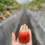 姫路ハートフル観光農園 - 