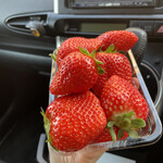 姫路ハートフル観光農園 - 