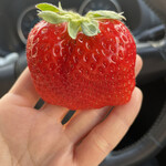 姫路ハートフル観光農園 - 