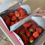 姫路ハートフル観光農園 - 