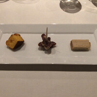 Hérisson d'un jour - 