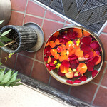 三燈舎 - 今日の気分は　　　　　　　　スカーレットレッド