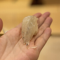 鮨 しゅん輔 阿佐ヶ谷 - 白魚