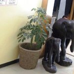 味処酒房なかむら - 象