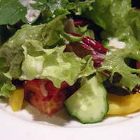 Osteria UVA RARA 横浜 - 