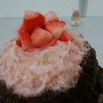 埜庵 - アポロ11（いちごトッピング）1500円*2021.02