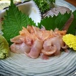 寿司酒房 洛彩 - 2012.08　遅れて出てきた赤貝