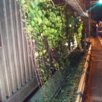 タケル クインディチ - 北鎌倉と調和してます