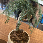 LAMP - 内観もオサレです