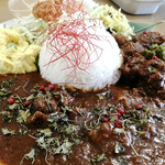 さらしあキッチン - 手前:山猫カレー  
            奥:イノシシカレー