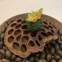 Installation Table ENSO L'asymetrie du calme - 