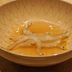 三谷 - 宍道湖産 白魚の黄味〆　葛餡しゃぶしゃぶ