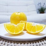 蒼 - 因みに、ハールリモネちゃん( *´艸｀)