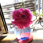 Mrs.ｙ - デーブルの花