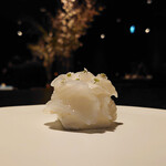 フロリレージュ - アオリイカ