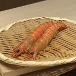 恵比寿 鮨 ふじまさ - 