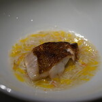 レフェルヴェソンス - 