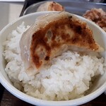 Sapporo Gyouza Seizou Sho - 大粒餃子の大きさが判って貰えるでしょうか