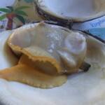 かき焼き シーサイドマリン - 大ハマグリ貝