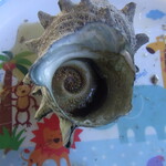 かき焼き シーサイドマリン - サザエ