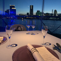 International cuisine subzero - 
