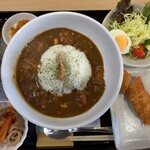 しま鳥 - カレーランチ550円+チキンカツ200円